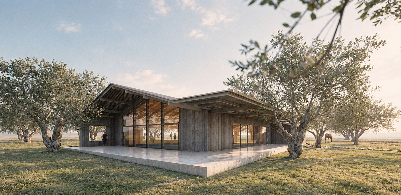 Il padiglione al tramonto: il portico aperto sull'uliveto.